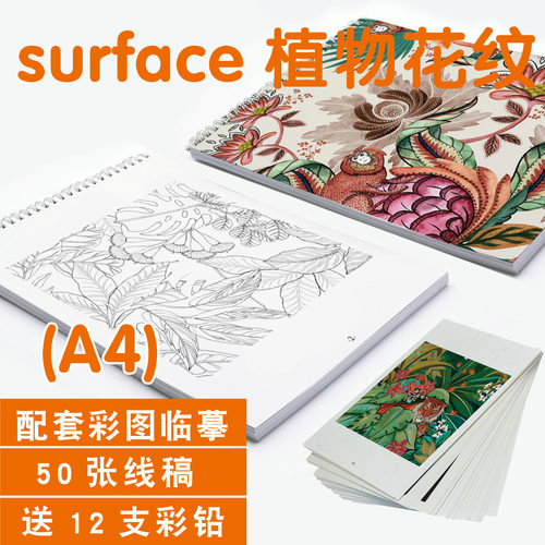surface植物花纹涂色填色描摹本