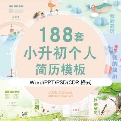 小升初幼简历模板word儿童