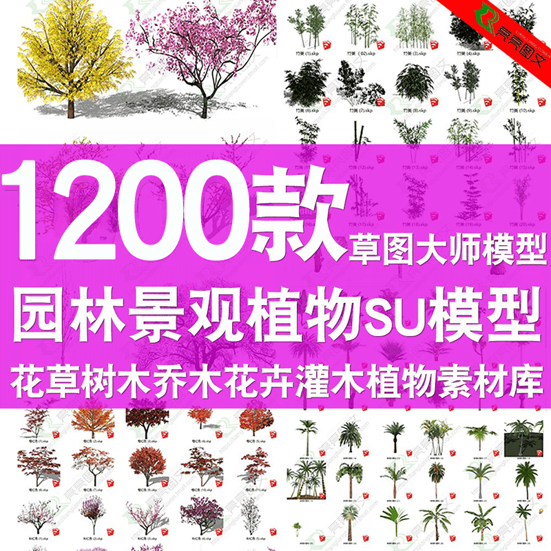 草图大师模型SU园林景观植物花草树木乔木花卉灌木sketchup素材库