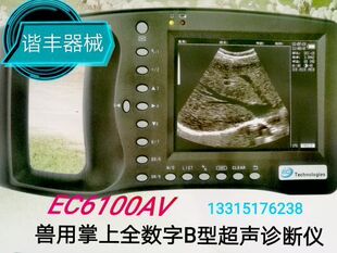 扇扫防水探头2年质保 B超仪母猪怀孕检测 兽用B超机ECI 1800AV