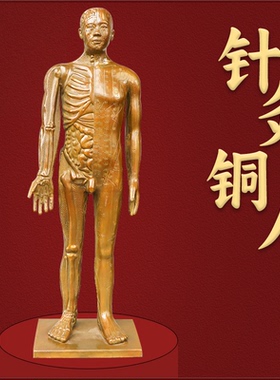 黄铜医院诊所摆放针灸人穴位铜人