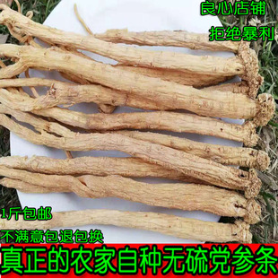 甘肅岷縣農家自種甜土黨參中條500克g 無硫熏當參煲湯料泡酒 包郵