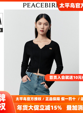 【商场同款】太平鸟女装2025年冬季新款百搭打底线套衫A3EED4148