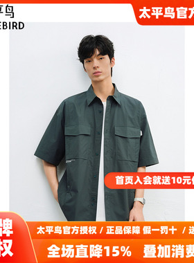 太平鸟男装衬衫25夏新款提花字母刺绣衬衣 B2CJF2166