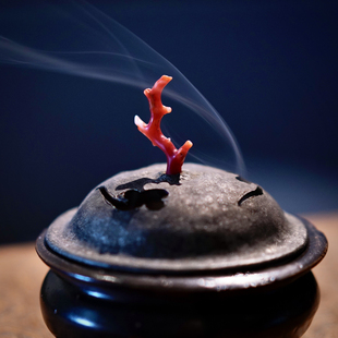 沉香|芽庄特级手工盘香 芽庄虫漏壳子料 细腻甜凉15g 不秋草堂