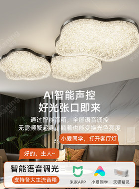 客厅主灯具全屋2025新款意式轻奢高级感吸顶灯现代简约大厅灯饰