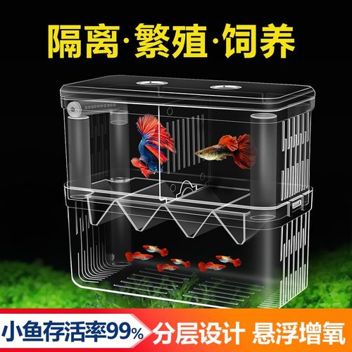 鱼缸隔离盒孔雀鱼小鱼大小号产卵