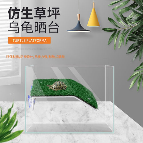 巴西龟草龟黄缘乌龟晒台晒背补钙浮台水龟爬梯爬坡造景梯台阶休息