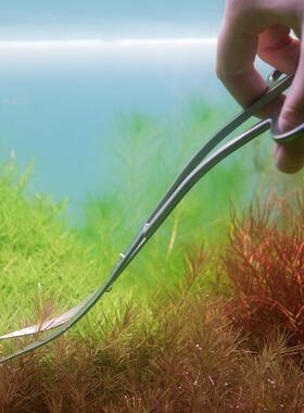 仟锐QANVEE 批发鱼缸造景水景剪刀 水草修剪不锈钢水草修剪工具