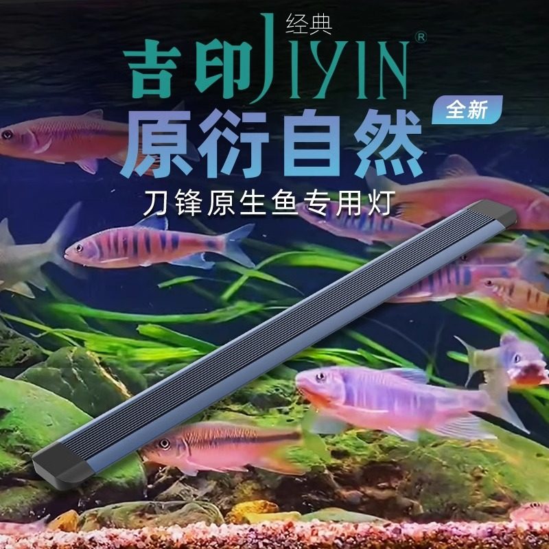 吉印防水led潜水爆藻灯图片