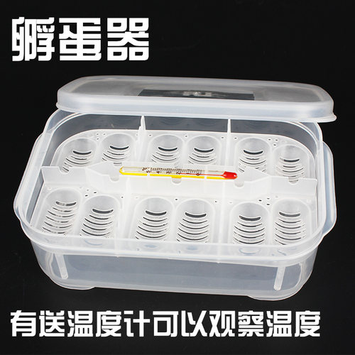 乌龟孵化箱价格 乌龟孵化箱图片 星期三