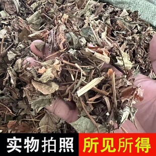 鱼腥草干泡水节节根鱼腥草正品鱼腥草茶农家自晒折耳根包邮500g