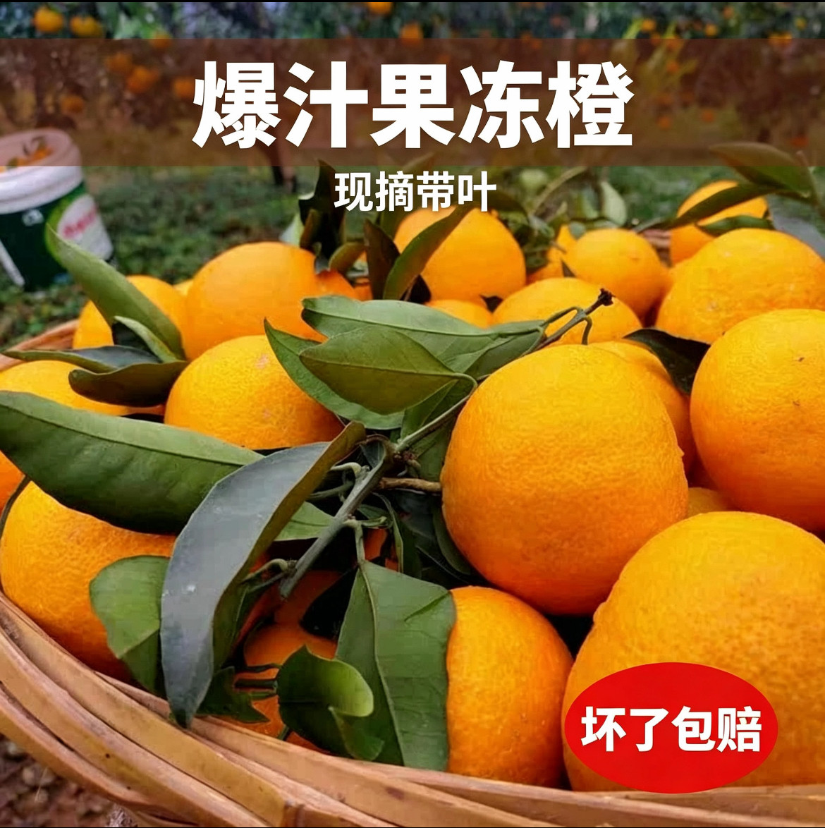 四川眉山爱媛38号果冻橙当季新鲜水果大橙子手剥橙子柑橘皮薄爆汁