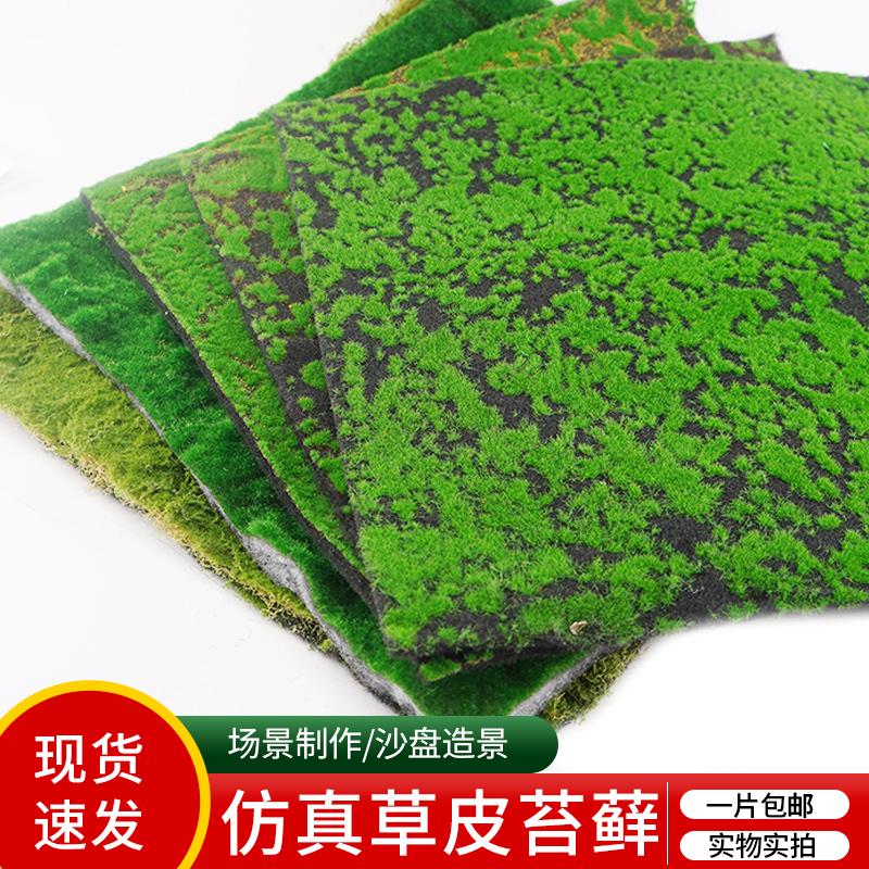 沙盘建筑模型材料diy手工绿色青苔植物墙草坪微景观草皮仿真苔藓