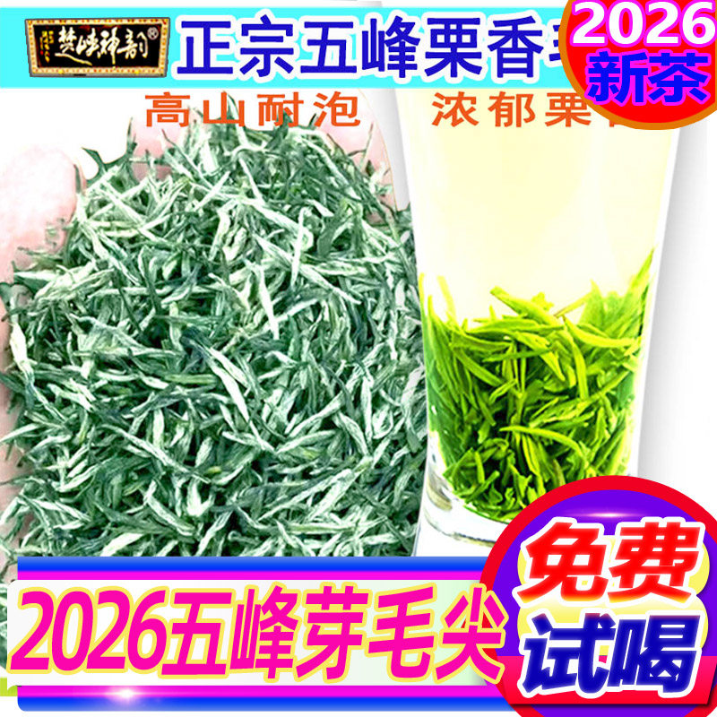 2026年新茶宜昌五峰芽毛尖明前栗香散装耐泡茶叶500g楚峡神韵 - 实物图
