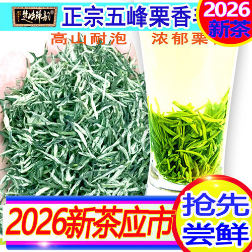 2026年新茶宜昌五峰芽毛尖明前栗香散装耐泡茶叶500g楚峡神韵