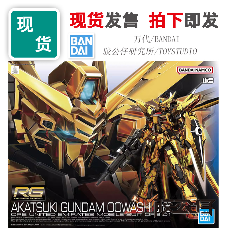 RG高达SEED拂晓高达大鹫装备电镀