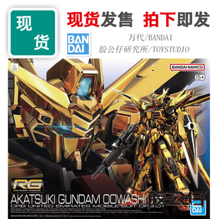 现货 万代 RG 高达SEED 新剧场版 拂晓高达 大鹫装备 电镀版 拼装