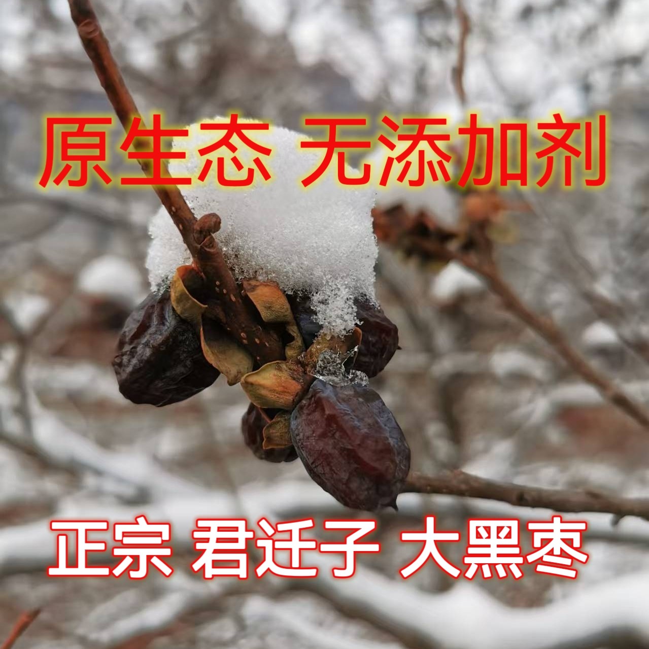 无农药 无化肥 不染色500克 正宗野生黑枣君迁子中药材非无核黑枣