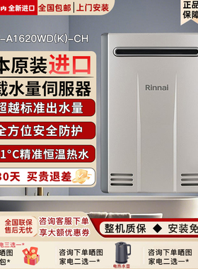 Rinnai/林内 REU-A1620WD(K)-CH室户外进口燃气热水器2024/2426
