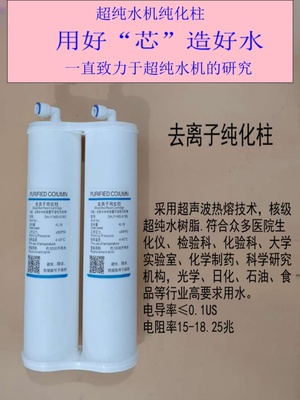 超纯化柱纯水柱生化仪预处理柱RO膜双通道UP水柱预处理实验室滤芯