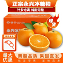 正宗湖南永兴冰糖橙新鲜纯甜橙子湖南郴州特产冰糖柑水果顺丰 包邮