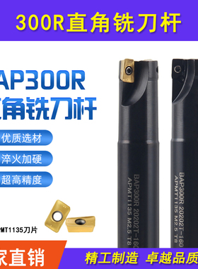 TAP/BAP300R CNC数控加工中心直角立铣刀杆 R0.8 10 12 16 18 25