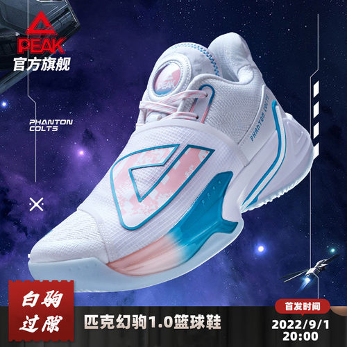 匹克态极幻驹1.0篮球鞋男鞋