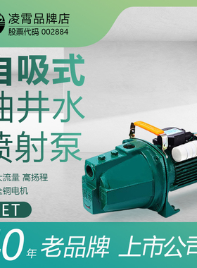 凌霄JET自吸喷射泵家用水井抽水机高扬程大流量全自动功率增压泵