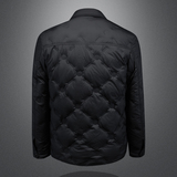 2025年秋冬男式羽绒服白鸭绒90绒D208-YR8894P245图2，男装羽绒服，电商D208