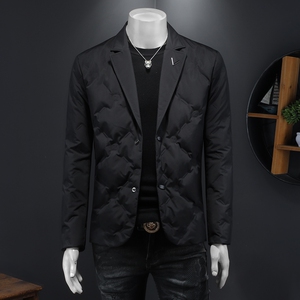 2025年秋冬男式羽绒服白鸭绒90绒D208-YR8891P240西装,男装羽绒服,电商D208