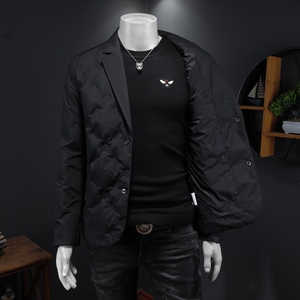 2025年秋冬男式羽绒服白鸭绒90绒D208-YR8891P240西装图片