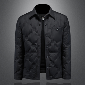 2025年秋冬男式羽绒服白鸭绒90绒D208-YR8894P245 图2,男装羽绒服,电商D208