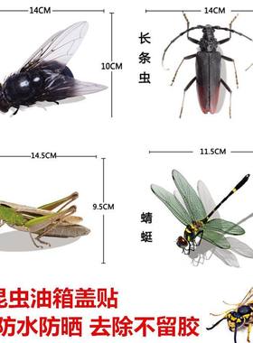 适配3D立体透明油箱盖贴车贴蜻蜓苍蝇蟋蟀草蜢仿昆虫创意