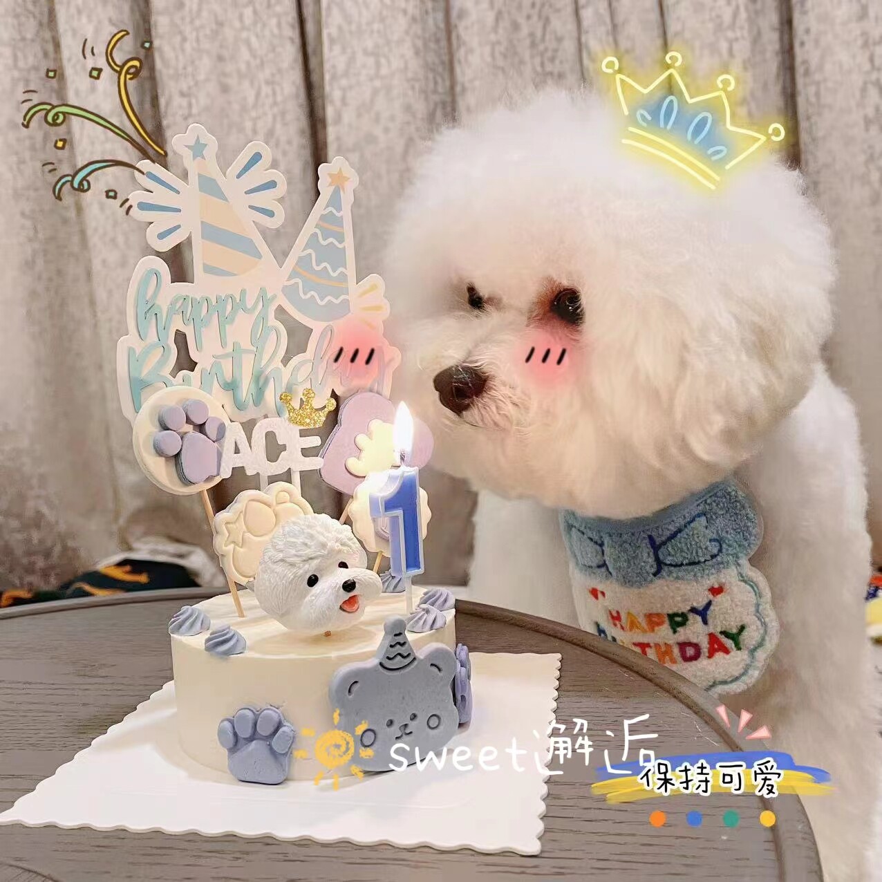 宠物蛋糕纯肉芯生日狗狗猫咪蛋糕