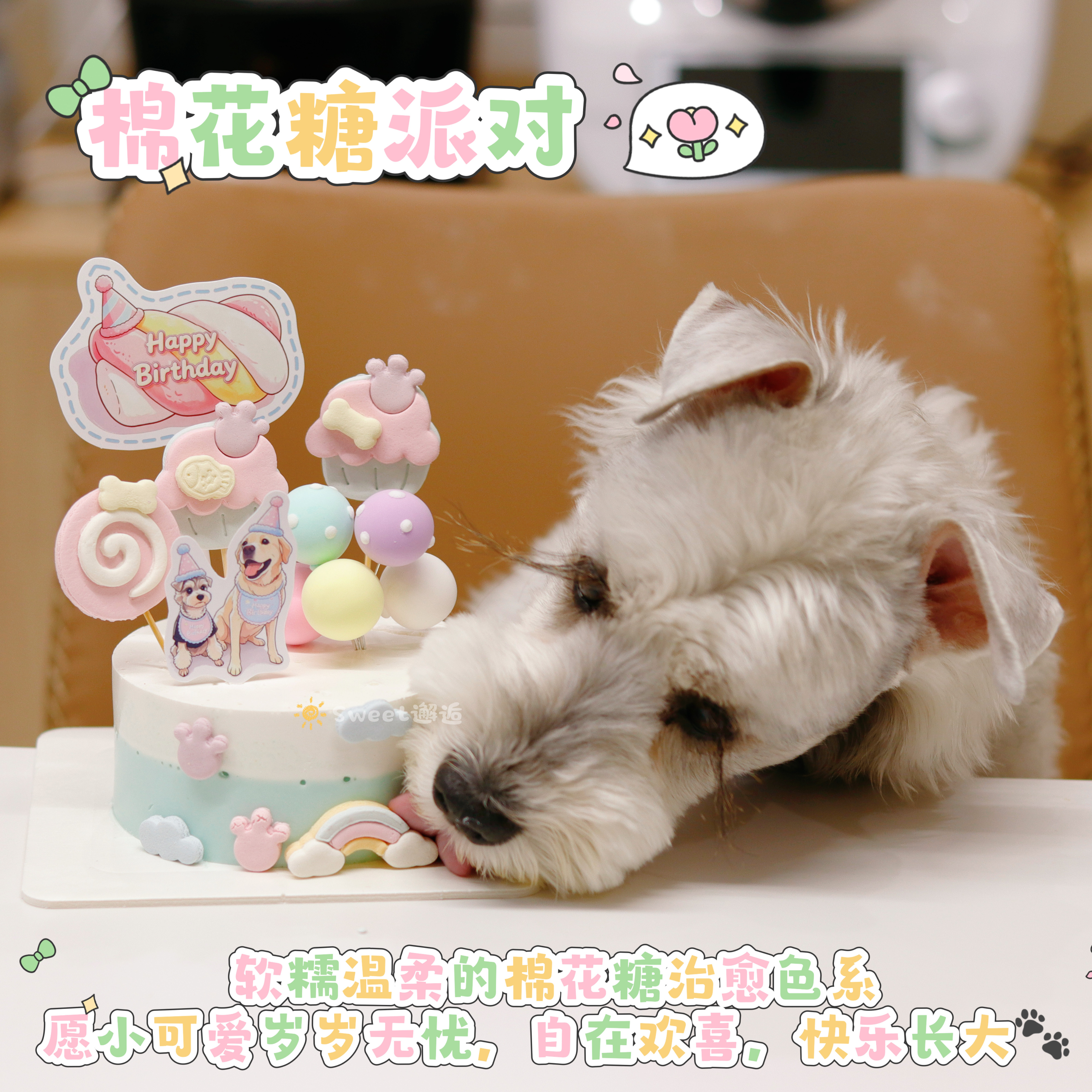 宠物蛋糕纯肉芯生日狗狗猫咪蛋糕