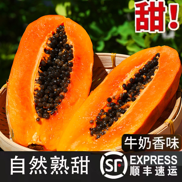 海南冰糖红心木瓜现摘新鲜顺丰水果青皮冰糖心牛奶树上熟下木瓜