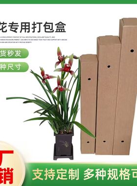 长方形兰花专用五层特硬