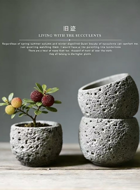 多肉仙人掌透水做旧花器水泥复古