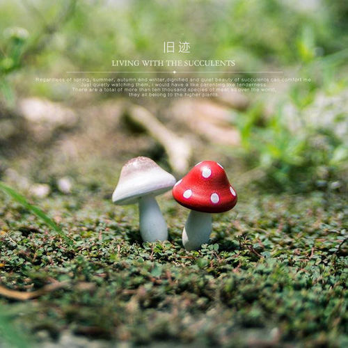 苔藓微景观装饰摆件/木质迷你小蘑菇盆景植物饰品