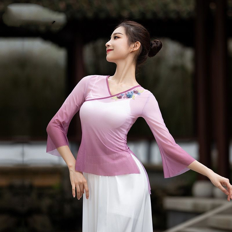 古典舞蹈练功服女飘逸身韵纱衣短款网纱上衣刺绣花阔腿裤演出服装
