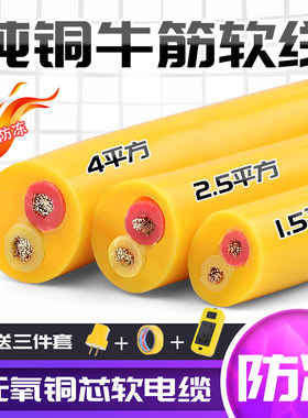 国标纯铜二芯电缆线防冻牛筋电线家用电源软线2.5/4/6平方护套线