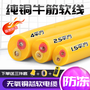 国标纯铜二芯电缆线防冻牛筋电线家用电源软线2.5/4/6平方护套线