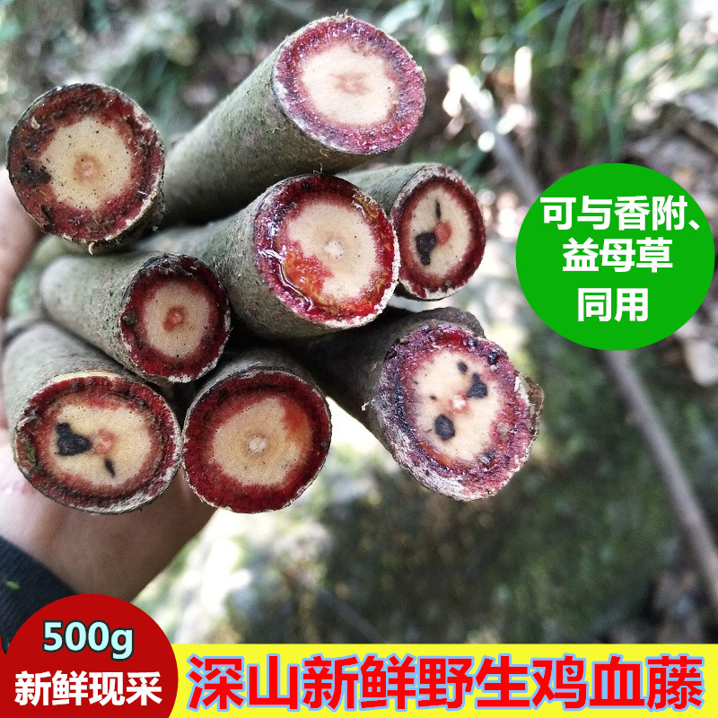 新鲜现采鸡血藤中草药五味子 老人根小血藤女人气血滋补汤料500克