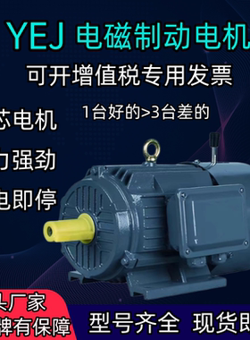 YEJ/Y2EJ电磁制动断电刹车交流电三相异步电动机380V0.37KW-75KW
