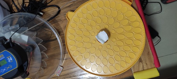 英国小飞碟专用蛋盘小飞碟蛋盘，75蛋位和尚小太阳玄凤通用，ex24