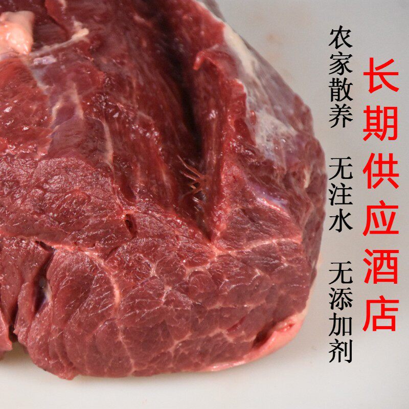 原切生鲜马肉新鲜农家正宗散养现杀真空装500g带皮五香火烧现宰