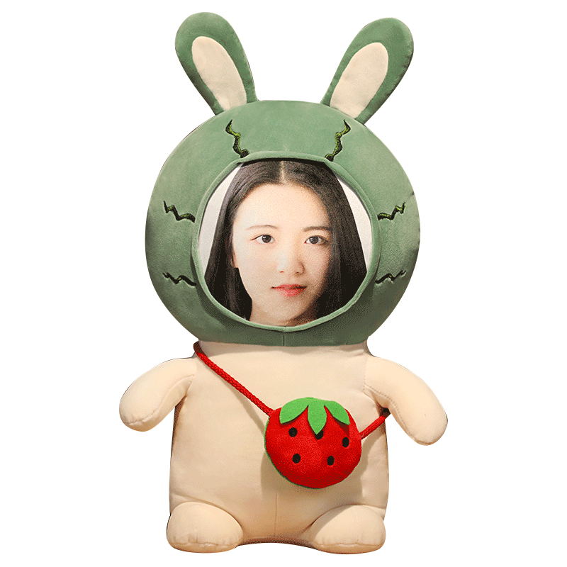 公仔布娃娃来图定制diy可印照片