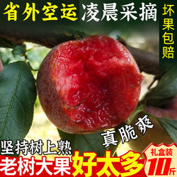 正宗三华李芙蓉李新鲜红心李脆大李子古田桃形孕妇特大果酸甜水果