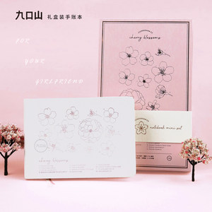漂亮的九口山笔记本手账本礼盒套装阅读读书笔记本手帐本套盒 好看的电影影评手账 送男生女生男孩子生日礼物